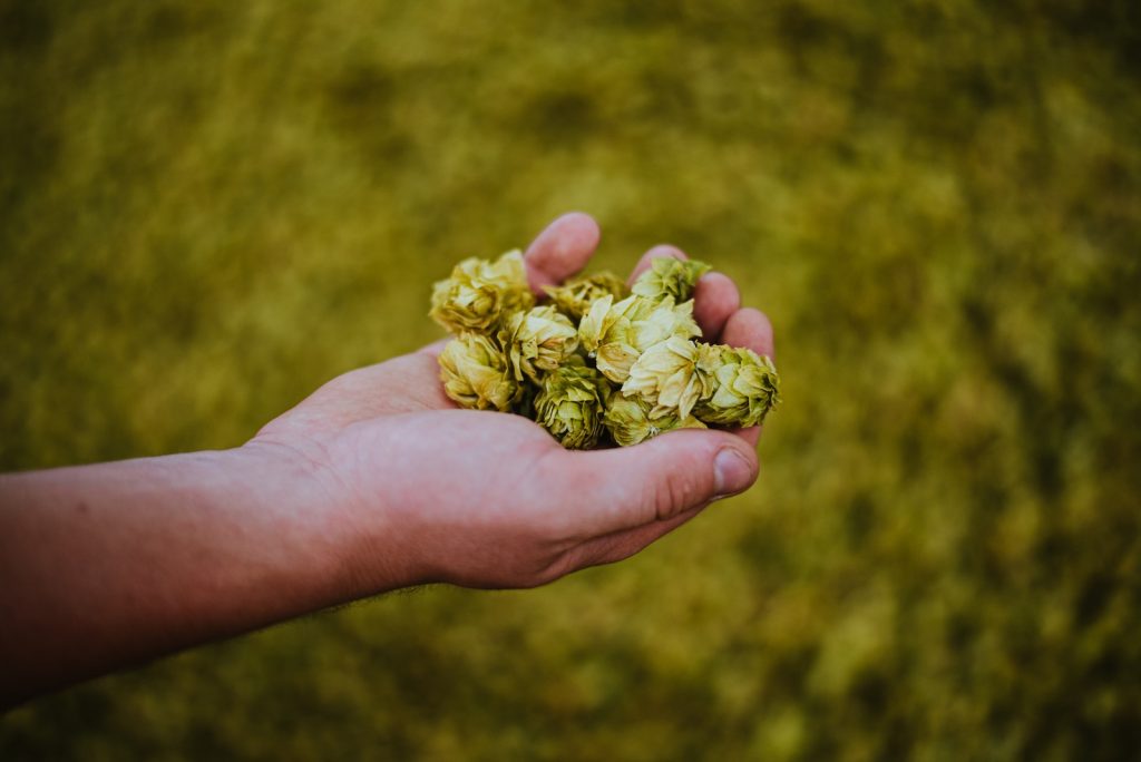 Hukins Hops