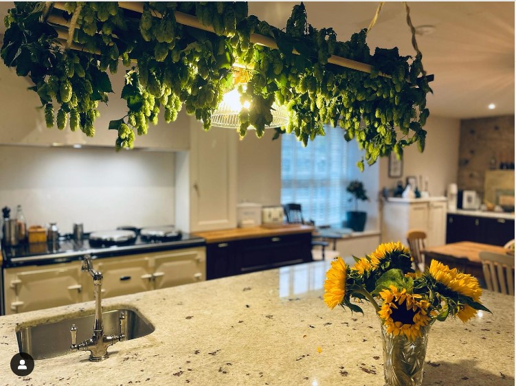 Modern kitchen with sunflowers in vase on granite countertop, hanging hop garlands overhead, and stainless steel sink