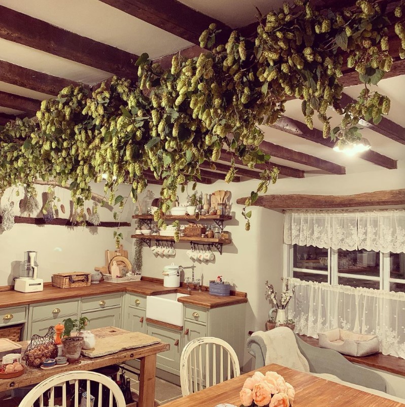 Rustic kitchen with exposed wooden beams, green hop garlands hanging from ceiling, cream cabinetry, wood countertops, farmhouse table, and lace curtains
