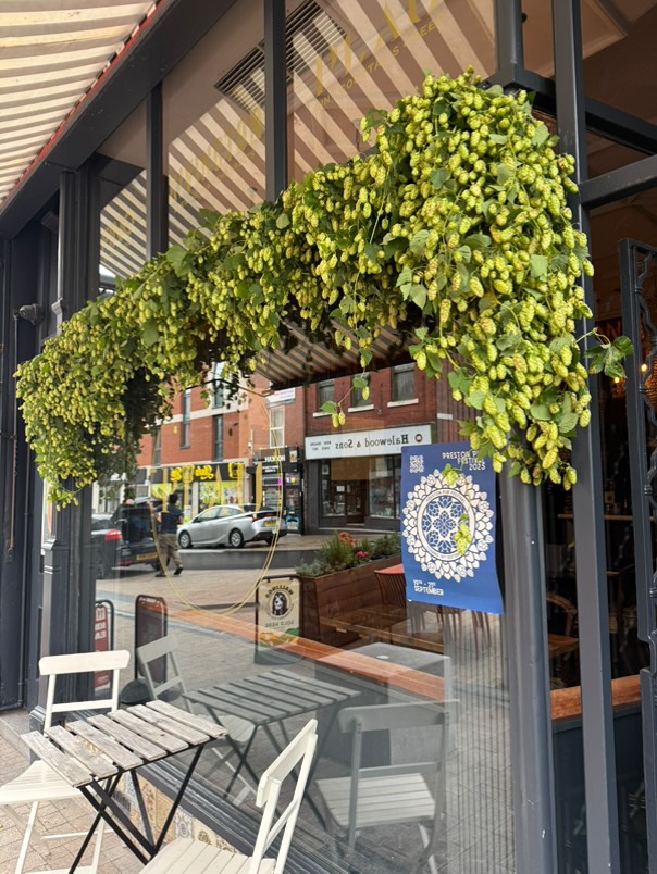 Storefront entrance with cascading hop garlands above, white chairs on patio, striped awning, street view with shops and parked car