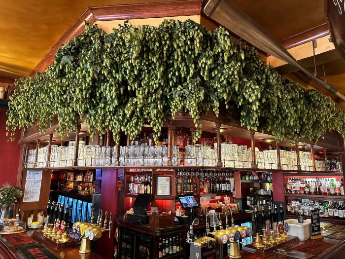 Fresh hop garlands pub bar decor