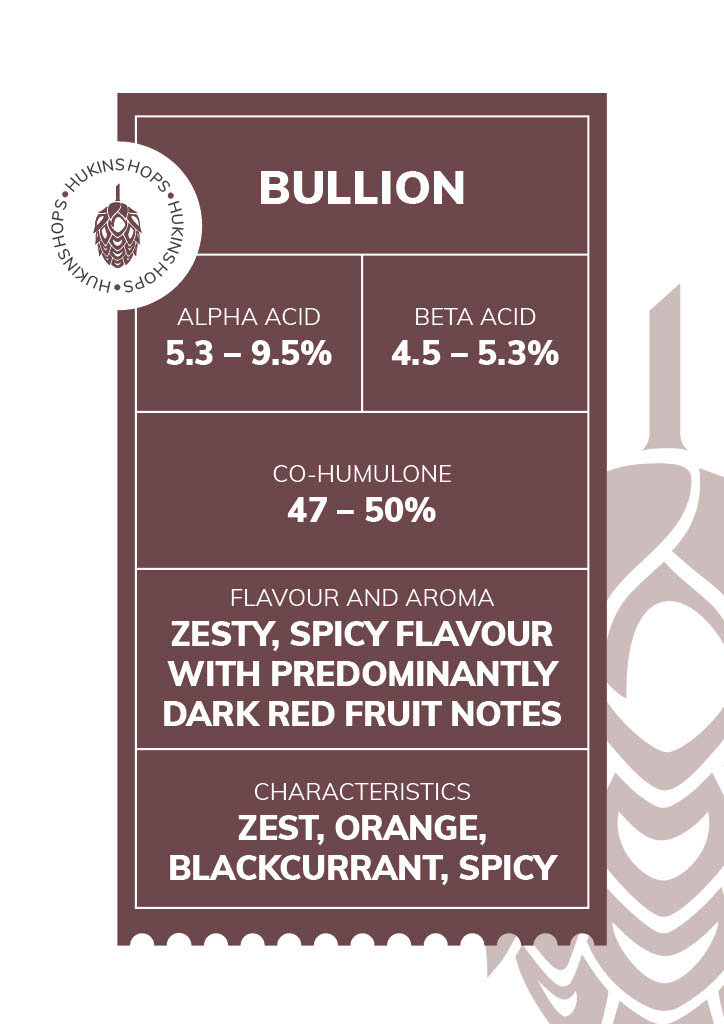 HOP FOCUS: BULLION Hukins Hops
