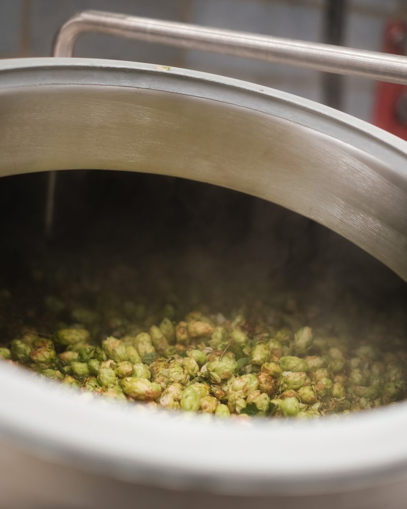HOP FOCUS: BULLION Hukins Hops